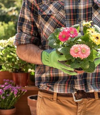 jardinero-plantas-en-mano-estudio-zubiria (1)